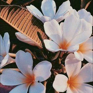 Meet your Posher, Naomi